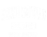 Reedsburg Wisconsin Wi Vintage Sports Established T-Shirt