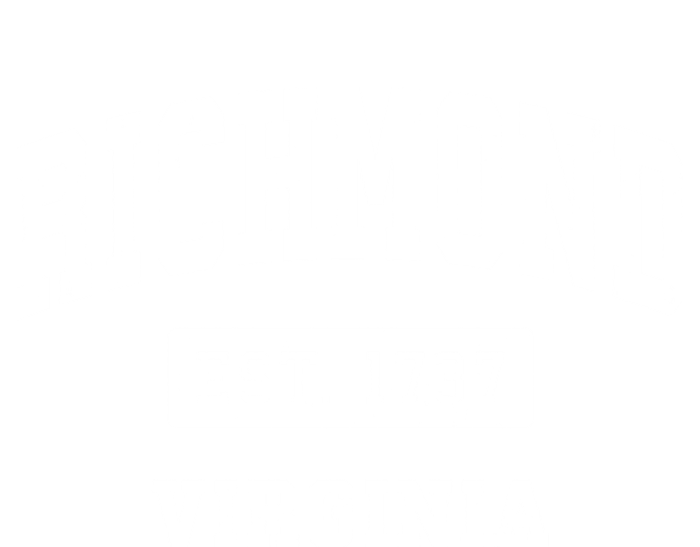 Richmond Virginia Va Vintage Established Sports T-Shirt