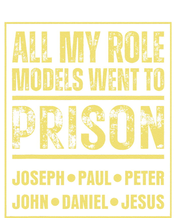 All My Role Models Went To Prison Jesus Paul T-Shirt