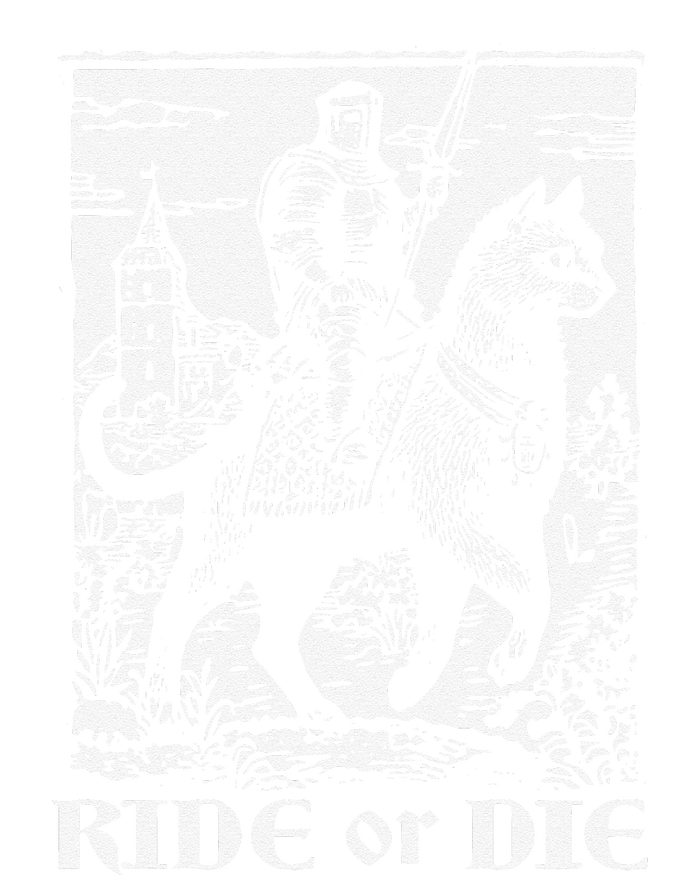 Knight Cat Rider Vintage 90s Medieval Knight Riding Cat T-Shirt