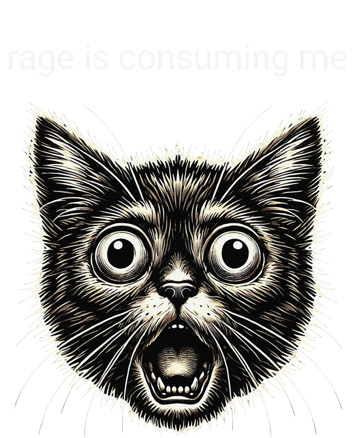 Funny Rage Is Consuming Me Silly Staring Cat Meme T-Shirt