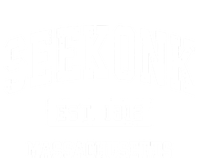 Seekonk Massachusetts Ma Vintage Sports Established Women's V-Neck T-Shirt