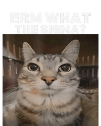 Erm What Sigma Meme Cat Meme Internet Memes Funny Meme Genz T-Shirt