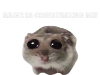 Rage Is Consuming Me Hamster Meme T-Shirt