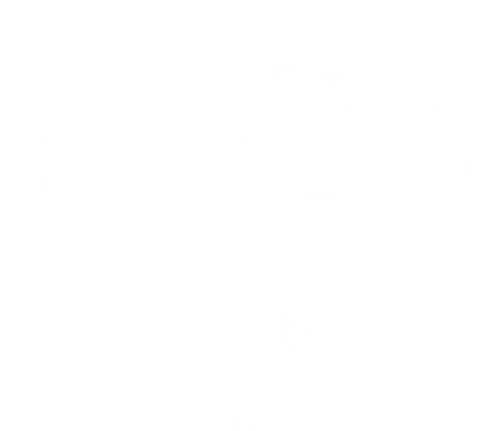 Hawaii Hawaiian Islands Coordinates State Map Souvenir Gift T-Shirt