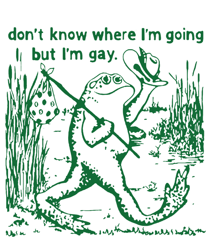 Gay Frog Funny I DonT Know Where IM Going But IM Gay High Crown Mesh Back Trucker Hat