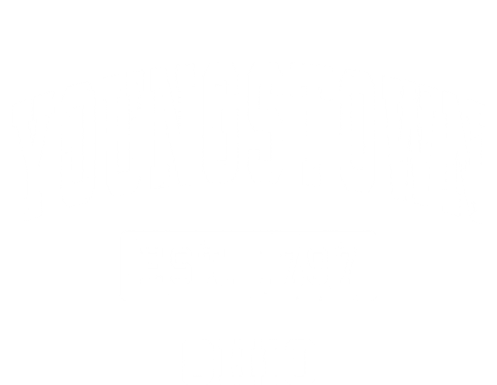 Youngstown Ohio Oh Vintage Established Sports T-Shirt