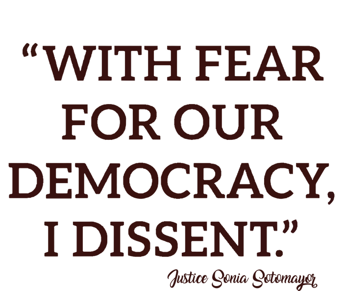 With Fear For Our Democracy I Dissent T-Shirt