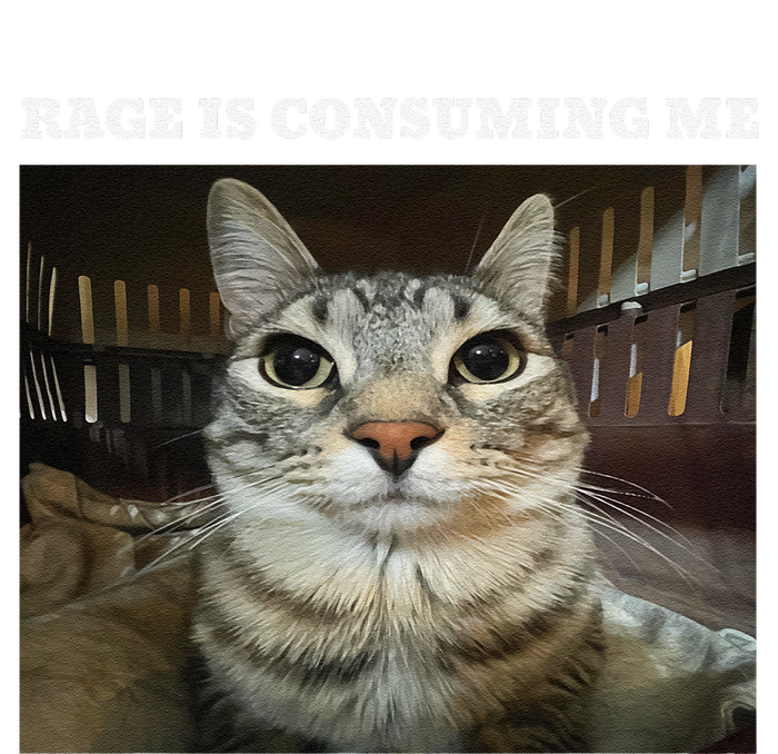 Rage Is Consuming Me Cat Meme T-Shirt