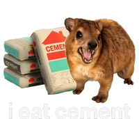 I Eat Cement Cursed Hyrax Funny Oddly Specific Dank Meme T-Shirt