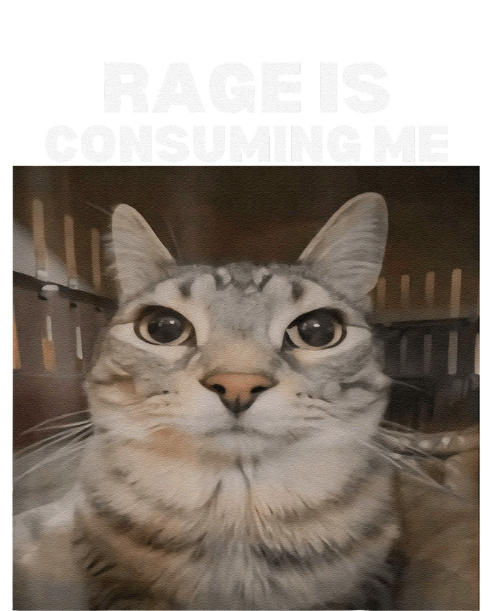 Rage Is Consuming Me Meme Cat Meme Internet Memes Funny Meme T-Shirt