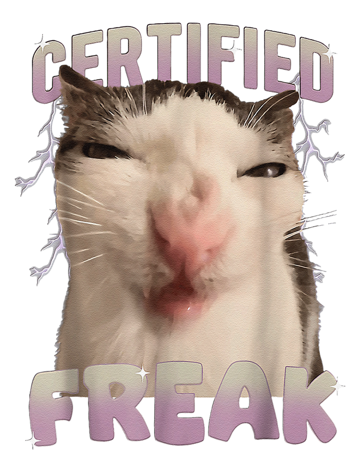 Meme Cat Certified Freak Eat Cement Cursed Cat Funny Hoodie