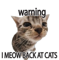 Warning I Meow Back At Cats T-Shirt