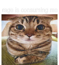 Rage Is Consuming Me Silly Cat Meme T-Shirt