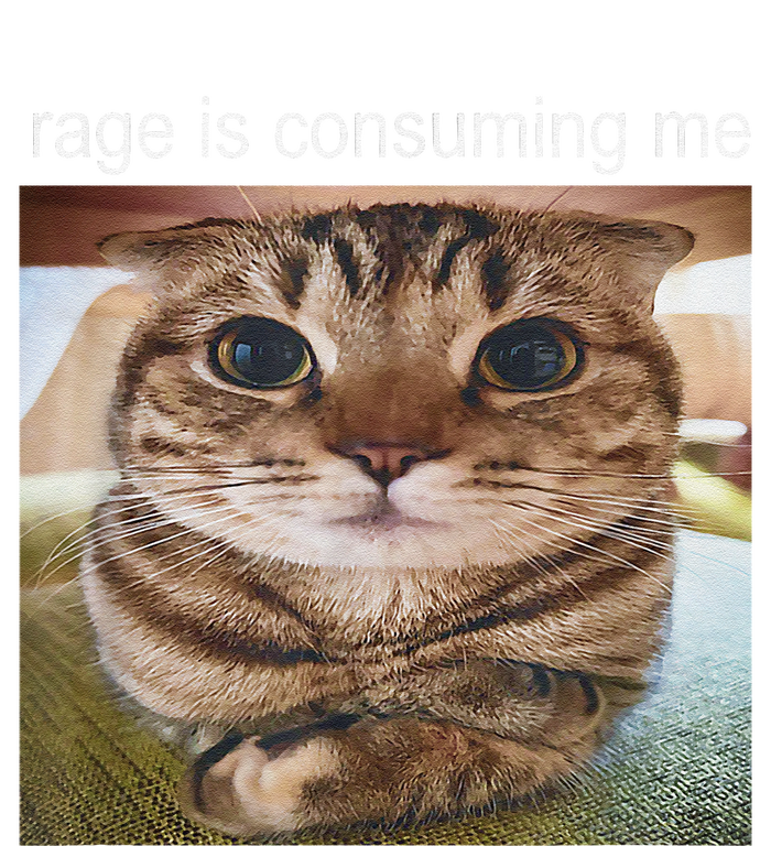 Rage Is Consuming Me Silly Cat Meme T-Shirt