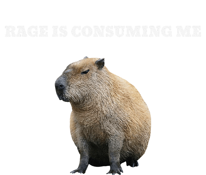 Rage Is Consuming Me Capybara Meme T-Shirt