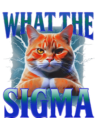 Erm What The Sigma Funny Cat Meme Weirdfor Gen Alpha T-Shirt