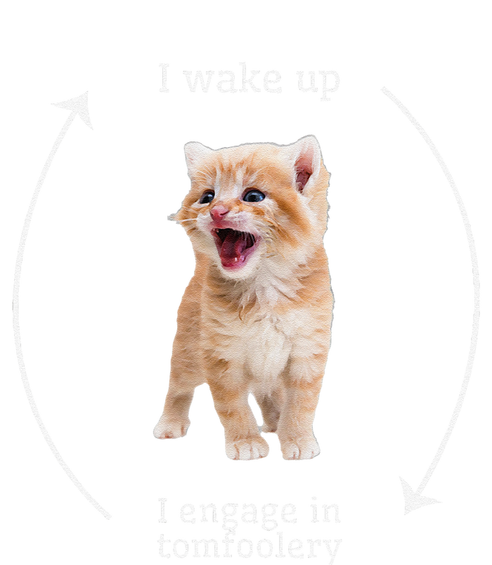 I Wake Up I Engage In Tomfoolery Silly Cat Meme T-Shirt