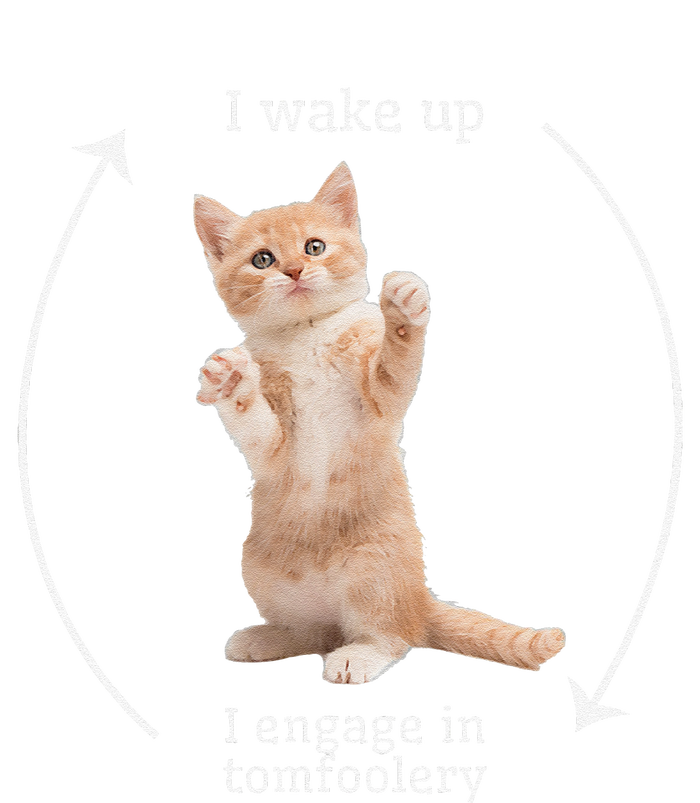 I Wake Up I Engage In Tomfoolery Silly Cat Meme T-Shirt