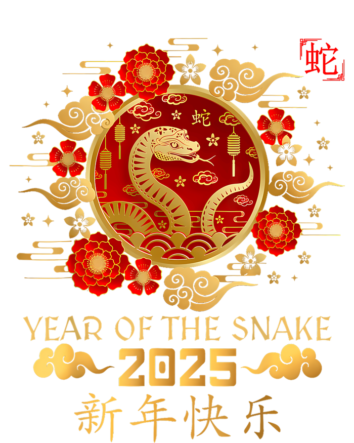 Year Of The Snake 2025 Lunar New Year Chinese New Year 2025 Tall Long Sleeve T-Shirt