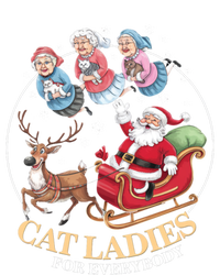 Funny Cat Ladies For Everybody Christmas Sleigh Santa Claus Gift T-Shirt