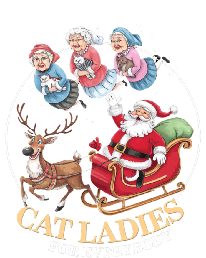 Funny Cat Ladies For Everybody Christmas Sleigh Santa Claus Gift T-Shirt