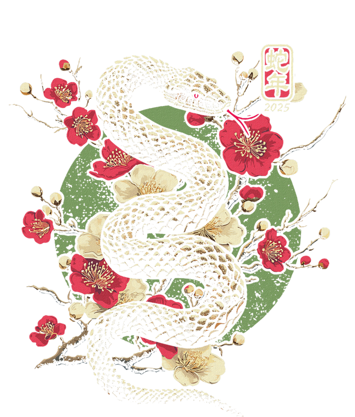 Year Of The Snake 2025 Chinese New Year T-Shirt