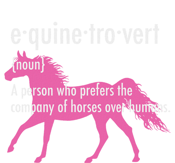 Equine Introvert Gift Funny Horse Lover Striped Beanie with Solid Band