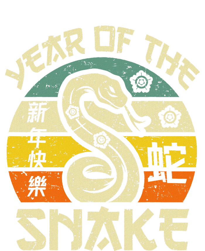 Vintage Year Of Snake 2025 Chinese New Year Snake Zodiac T-Shirt