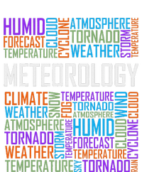 Meteorology Words Gifts Weather Forecast Meteorologist Gift T-Shirt