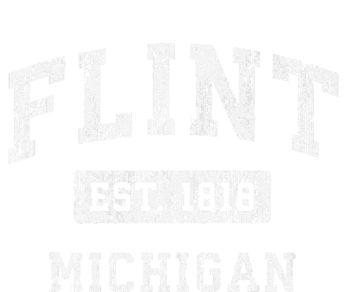 Flint Michigan Mi Vintage Established T-Shirt