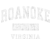 Roanoke Virginia Va Vintage Established T-Shirt