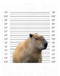 Capybara Mugshot Wanted For 93 Felonies Across The Country Womens Funnel Neck Pullover Hood