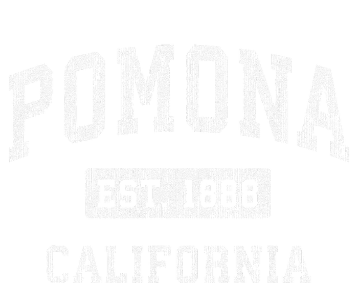 Pomona California Ca Vintage Established T-Shirt