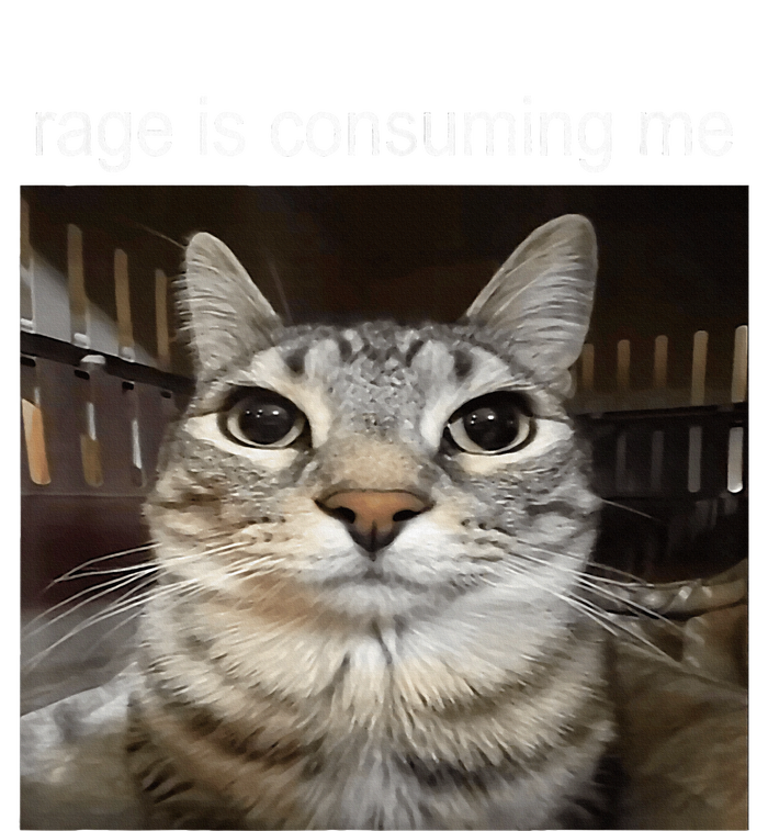 Rage Is Consuming Me Silly Staring Cat Meme Cooling Performance Long Sleeve Crew