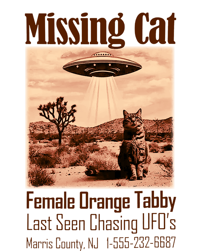 Vintage Ufo Cowboy Cat Missing Cat Female Orange Tabby Long Sleeve Pajama Set