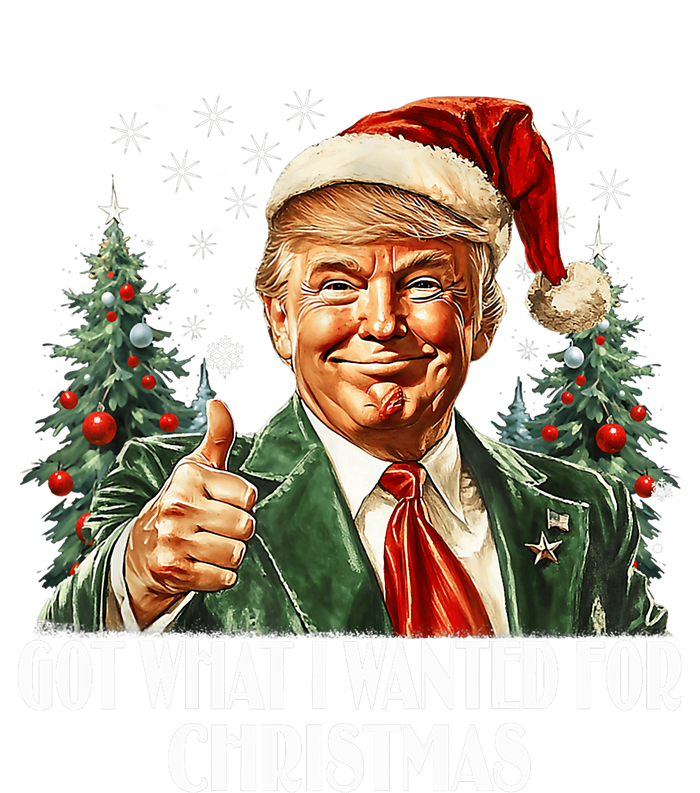 Got What I Wanted For Christmas Trump Xmas Pajamas 2024 T-Shirt