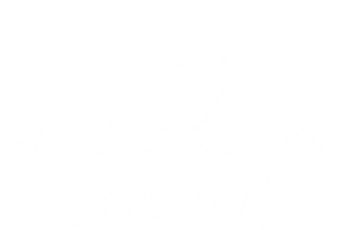 Pilot Wife Of A Pilot Wife Airplane Pilot Wife Heart Gift Ladies Essential Tank