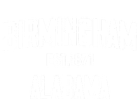 Birmingham Alabama Al Vintage Established Sports Baby Long Sleeve Bodysuit