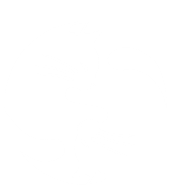 Cat Yin Yang Peace Loving Interconnected Great Gift Idea Meaningful Gift T-Shirt