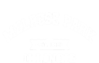 Melrose Park Illinois Il Vintage Athletic Sports Established Ladies Essential Flowy Tank