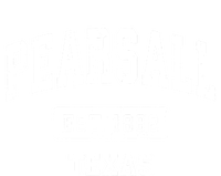 Pearsall Texas Tx Vintage Sports Established Insulated Varsity Jacket