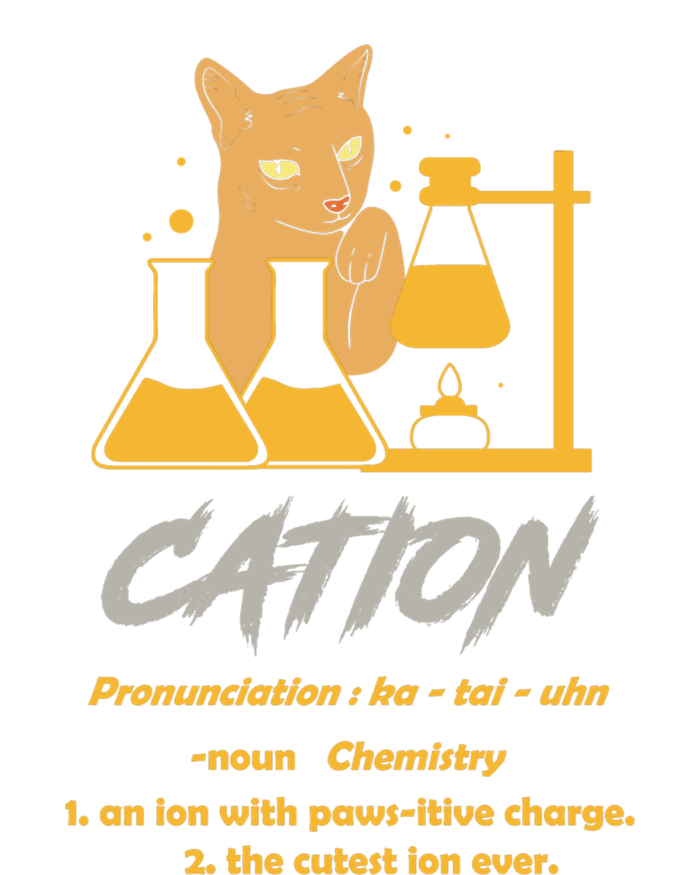 Chemistry Teacher Science Geek Cation Chemistry Cat Great Gift Sustainable Beanie