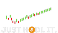 Just Hodl It Funny Crypto Trader Btc Bitcoin Investor Poster