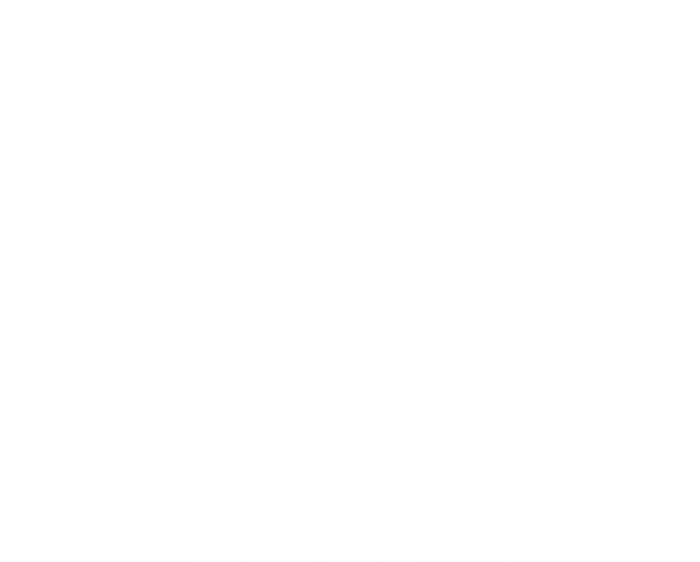 Princeton Indiana In Vintage Sports Established T-Shirt