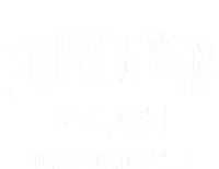 Princeton Massachusetts Ma Vintage Sports Established Women's Fleece Hoodie