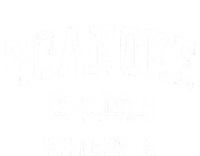 Roanoke Virginia Va Vintage Established Sports T-Shirt