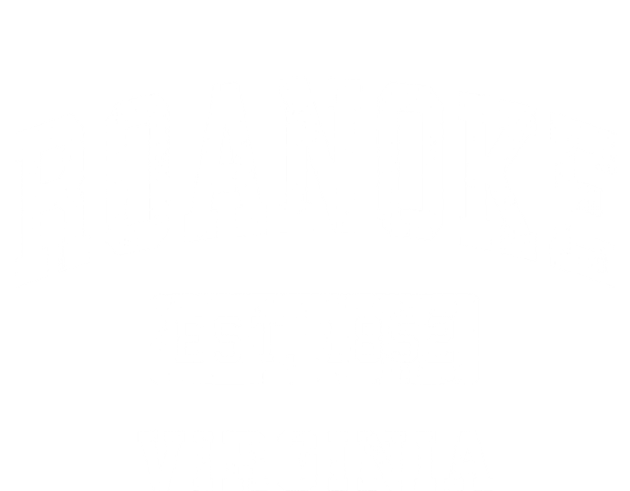 Roanoke Virginia Va Vintage Established Sports T-Shirt