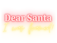 Dear Santa I Was Framed! Meaningful Gift T-Shirt