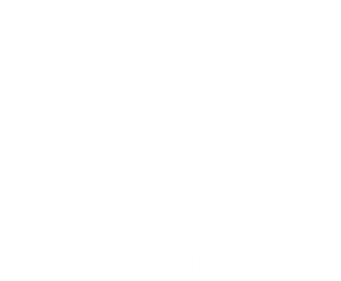 Winslow Arizona Az Vintage Sports Established T-Shirt